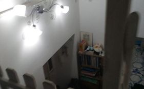 Serena'S Nest